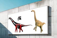 Felfedeztek két új dinoszauruszfajt Erdélyben