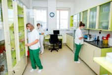 Influenzajárvány miatt kiterjesztették a látogatási tilalmat a sepsiszentgyörgyi kórházban