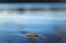 Európai Bizottság: szennyezettek a vizek és nagy az árvízkockázat