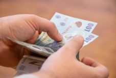 A januári átlagnyugdíj 50 lejjel kisebb volt a decemberinél