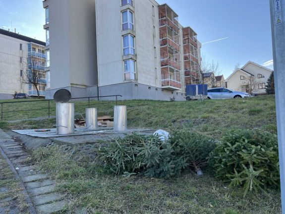 Hogyan szabaduljunk meg a karácsonyfánktól Marosvásárhelyen?