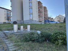 Hogyan szabaduljunk meg a karácsonyfánktól Marosvásárhelyen? 