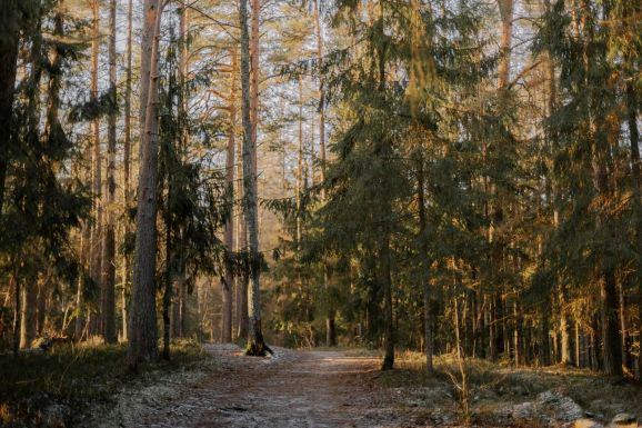 Négyhetes előrejelzés: ilyen idő várható február közepéig