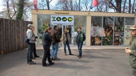 Hivatalos: új otthonra talált a nagyváradi állatkert