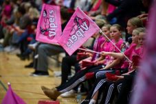 Mégsem tudták megmenteni a Viperst, visszalép a BL-től