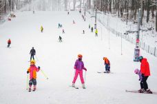 Nyílik a kis sípálya a Sepsiszentgyörgy melletti Sugásfürdőn