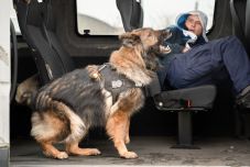 Eltűnt személyek felkutatása: évről-évre nagyobb a kihívás – a közösségi média kétélű fegyver