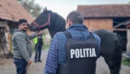 Állatvédelmi rendőrség: gyakran a közösségi médiából szereznek tudomást a kínzásokról  