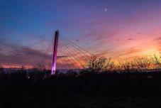 „Mintha horrorfilmben lenne” – szokatlan panaszt kapott az aradi polgármester