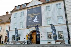 Hollandiai műkincsrablás: tiltakozásul bezár a Brukenthal Múzeum