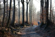 Ilyen időjárás várható január utolsó napjaiban