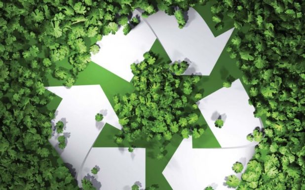 Hogyan zöldítenéd Kolozsvárt? Akár 5000 eurót is érhet egy jó ötlet