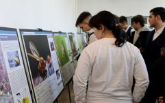 Fotókiállítás: a szilágysági diákok is megtekinthetik a mikrovilág csodáit