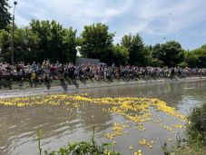 Jótékonysági kacsafutam Marosvásárhelyen