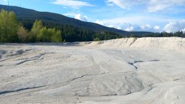 A természet visszahódítaná a hargitafürdői zagytározót, csak „segítségre van szüksége”