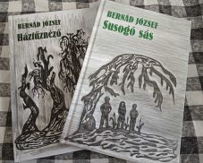 Bernád József új könyvei: egy dráma- és egy novelláskötet jelent meg