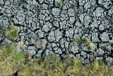 A termesztett növények is megsínylik a víz magasabb sótartalmát