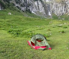 Medve elől menekült a kétgyermekes sátorozó család