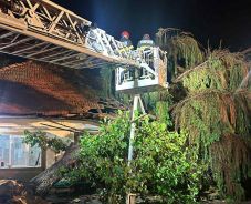 Vihar Maros megyében: egy személybe villám csapott, fákat és oszolopokat döntött ki a szél