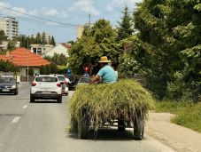 Sepsiszentgyörgyön lefoglalják az engedély nélkül közlekedő szekereket és lovakat
