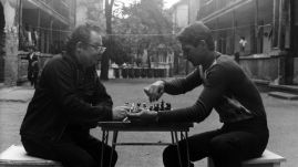 TIFF: Négy fal között