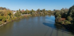 Figyelmeztetés Arad megyében: ne használják öntözésre vagy az állatok itatására a Maros folyó vizét