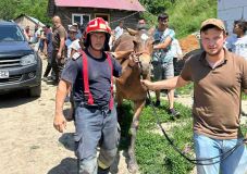 Lovat mentettek ki egy mély aknából a csíkszeredai tűzoltók