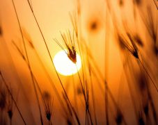 Elsőfokú figyelmeztetés a hőség miatt: akár 36 fok is lehet csütörtökön