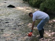 Kiszámíthatatlan sótartalom-ingadozás a Kis-Küküllőben