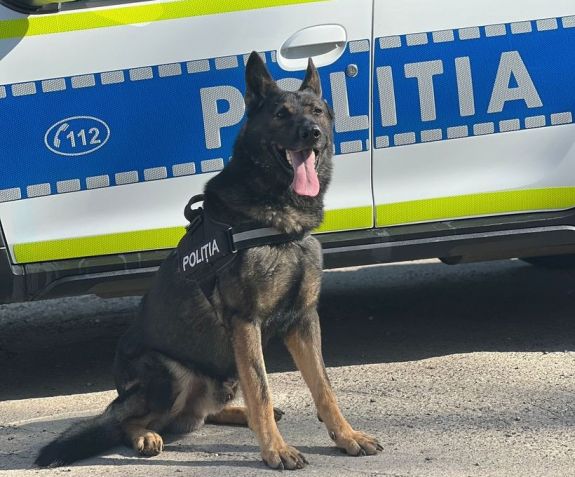 A rendőrkutya nyomozta le a szomszédjukhoz betörő rablókat