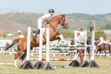 Lovas egyesületek számára hirdet partnerségi programot Hargita Megye Tanácsa