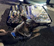 Román–magyar közös határellenőrzés: táblagépeket és csempészcigarettát foglaltak le