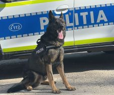 A rendőrkutya nyomozta le a szomszédjukhoz betörő rablókat