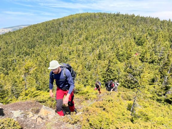 Jól járhatók a Hargita megyei turistautak