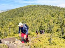 Jól járhatók a Hargita megyei turistautak