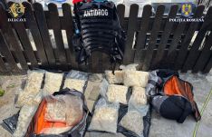 Nagy fogás Nagyváradon – bokorból árulták a kristály-metet