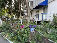 Elhanyagolt zöldövezetek – kinek a feladata rendben tartani a tömbházak közötti területeket?