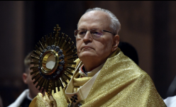 Erdő Péter: a reménység egész emberiséghez szóló üzenete születhet meg a pápaválasztáson