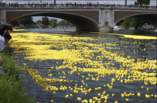 Jótékonysági Kacsafutam Marosvásárhelyen