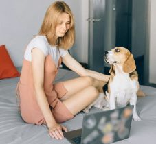 Megértjük az állatok nyelvét? – új, MI-alapú fejlesztésen dolgoznak a kínaiak