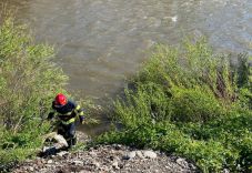 Hargita megye: vasárnap óta keresik eredménytelenül a Marosba esett férfit