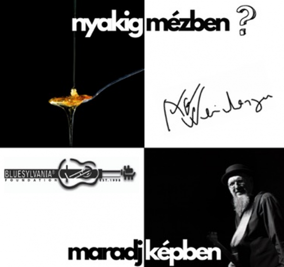 Nyakig mézben – Mitől jó a zenész?