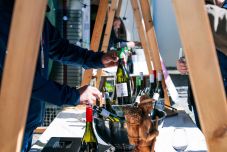 Alkoholt árultak egy Maros megyei szavazókörzet közelében