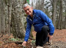 Vizsgálati fogságban marad a polgármester