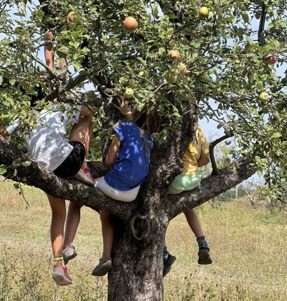 Tábort keresel a gyereknek? Mutatjuk, hová érdemes jelentkezni már most!