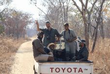 A vadállatgyógyászat mint hivatás – Interjú dr. Borka Vitális Leventével  