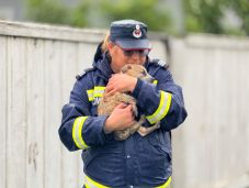 Áradások: az állategészségügyi hatóság is figyelmeztetést adott ki