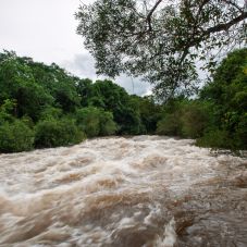 Másodfokú árvízkészültség: az Olt is érintett