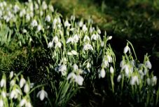 Négyhetes előrejelzés: tavaszias meleg várható