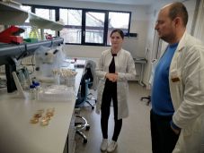 Országosan is kiemelkedő: korszerű kutatóintézet működik hat éve Csíkszeredában